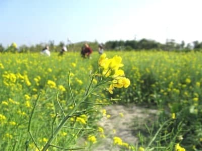 產品介紹 - 台灣五常股份有限公司 - 陽光．空氣．水