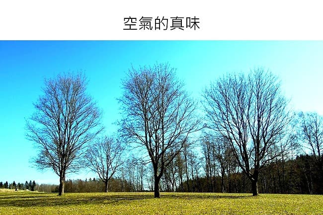 空氣的真味