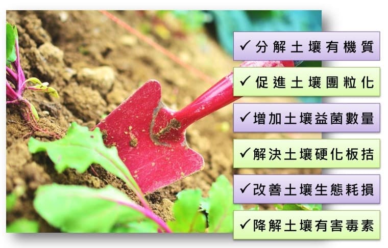 農用活性水能夠分解土壤有機質並且促進土壤團粒化
